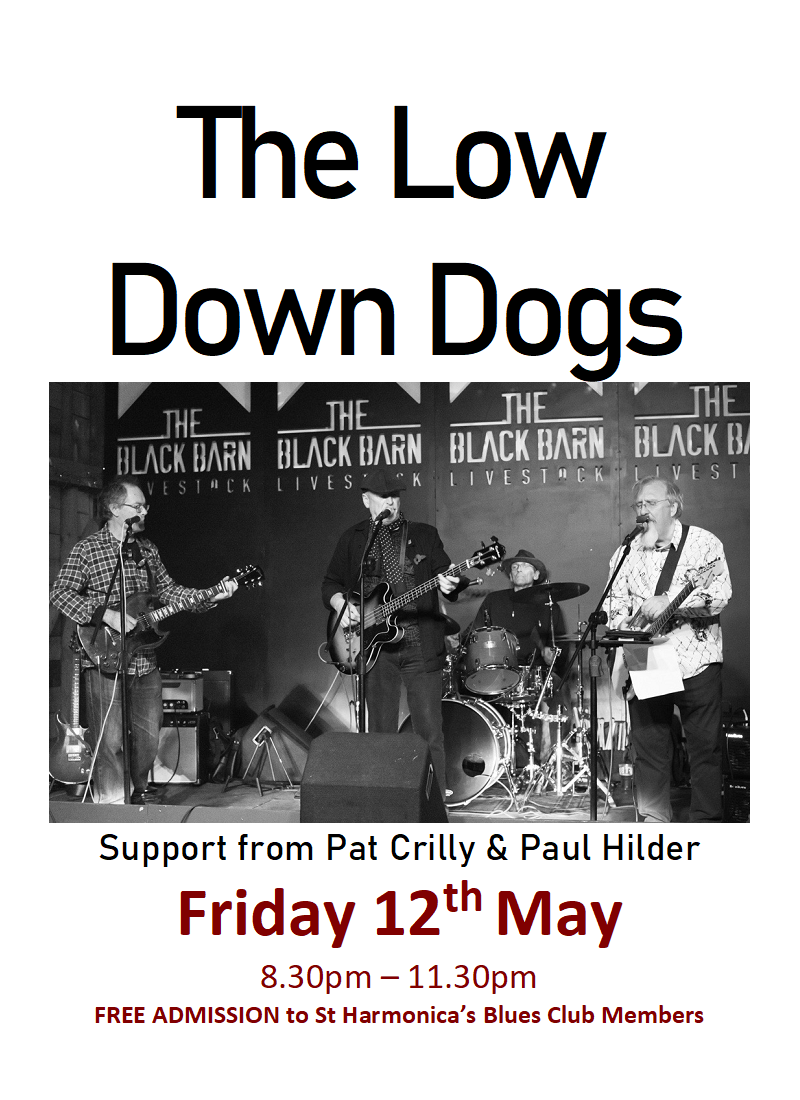 The Low Down Dogs